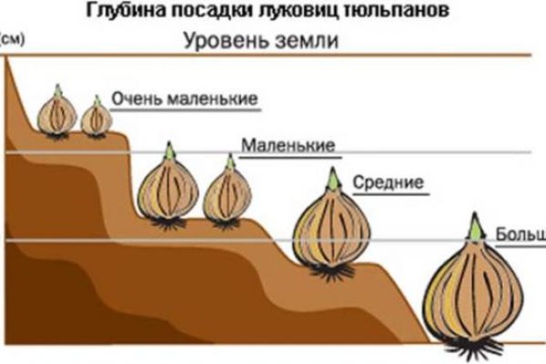 Кракен это даркнет